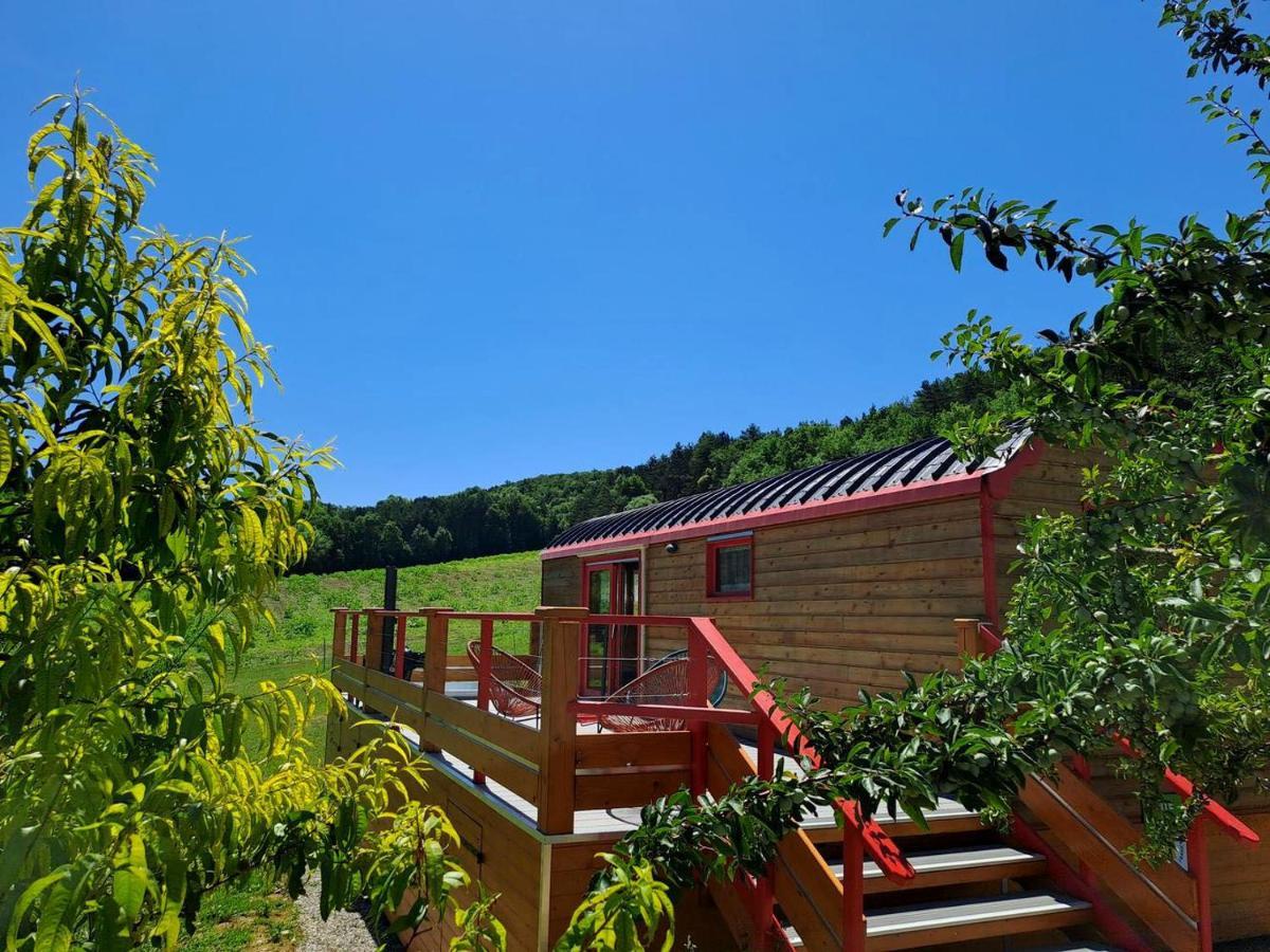 La Roulotte Du Tonnelier Villa Castelnau-de-Montmiral Екстериор снимка