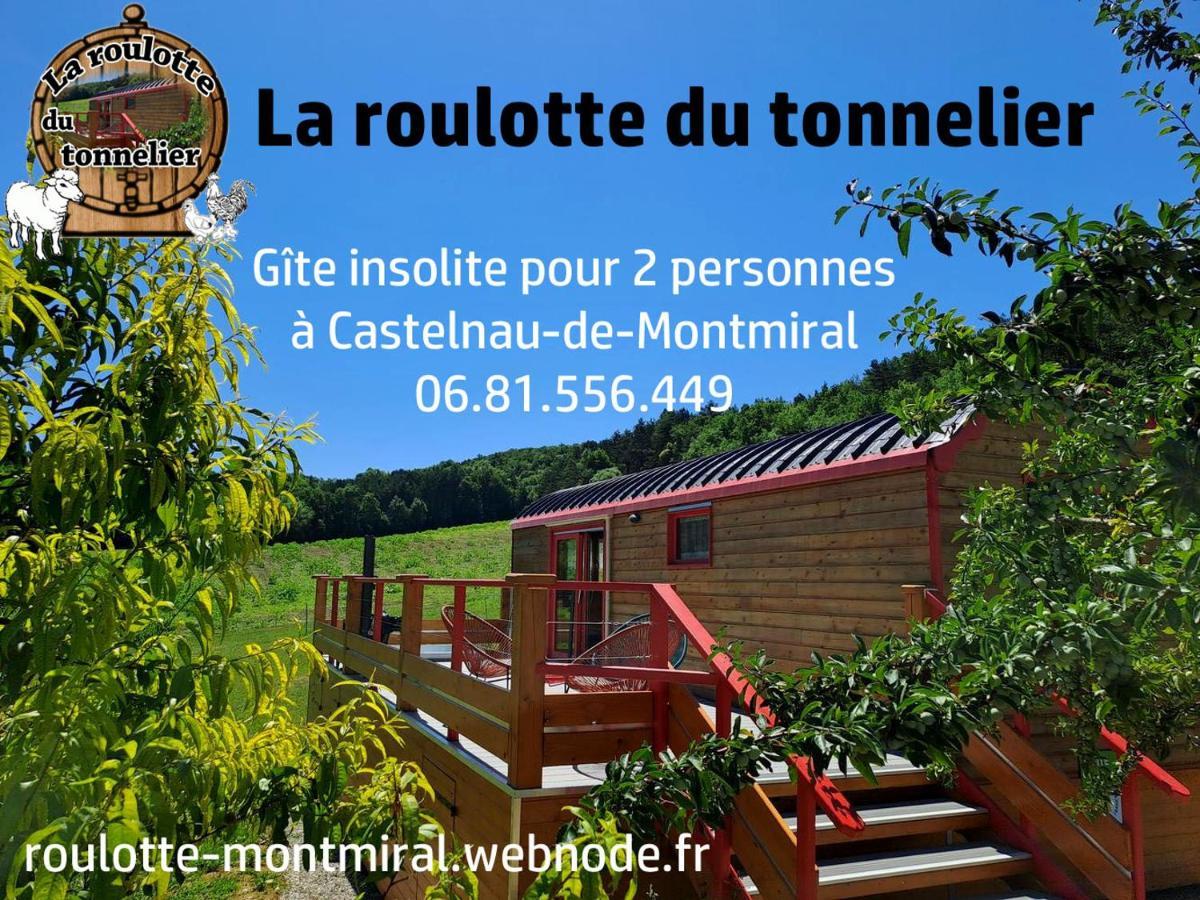 La Roulotte Du Tonnelier Villa Castelnau-de-Montmiral Екстериор снимка